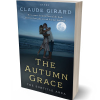 3D view of Premade Romance Book Cover - Ebony Clay