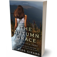 3D view of Heavy Metal #15826 - Premade Romance Book Cover