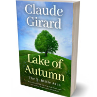 3D view of Dark Fern #15881 - Premade Travel Book Cover