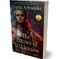 3D view of Premade Fantasy Book Cover - Gondola