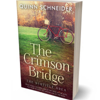 3D view of Premade Literary Fiction Book Cover - Quincy