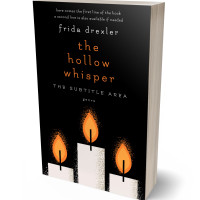 3D view of Pancho #16185 - Premade Horror Book Cover