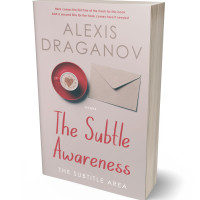 Tablet view of Cold Turkey #16360 - Premade Romance Book Cover