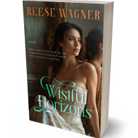 Tablet view of Birch #16630 - Premade Literary Fiction Book Cover