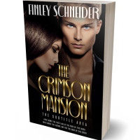 Tablet view of Indian Khaki #16734 - Premade Mystery & Thriller & Suspense Book Cover