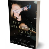 3D view of Rodeo Dust #16797 - Premade Erotica Book Cover