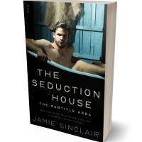 3D view of Green Spring #16800 - Premade Erotica Book Cover