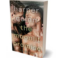 Tablet view of Sandal #16885 - Premade Erotica Book Cover