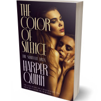 3D view of Premade Mystery & Thriller & Suspense Book Cover - Gondola