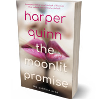 Tablet view of Wafer #16912 - Premade Erotica Book Cover