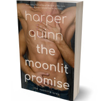 Tablet view of Cape Palliser #16913 - Premade Erotica Book Cover