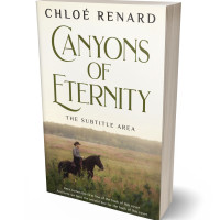 3D view of White Rock #16924 - Premade Western Book Cover | BookCoverZone