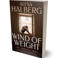 3D view of Premade Self-Improvement & Self-Help Book Cover - Eclipse