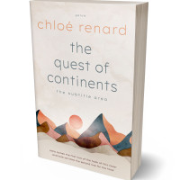 3D view of Pearl Bush #17121 - Premade Abstract Book Cover