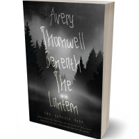 3D view of Mine Shaft #17422 - Premade Paranormal & Urban Book Cover