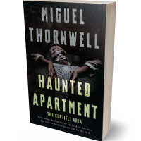 3D view of Schist #17451 - Premade Horror Book Cover