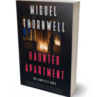 3D view of Woodsmoke #17474 - Premade Paranormal & Urban Book Cover