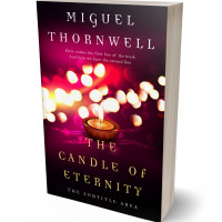 3D view of Deep Blush #17489 - Premade Fantasy Book Cover