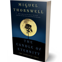 3D view of Black Pearl #17493 - Premade Fantasy Book Cover