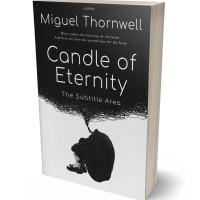 Tablet view of Cod Gray #17495 - Premade Abstract Book Cover