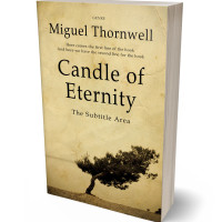 Tablet view of Calico #17496 - Premade Poetry Book Cover