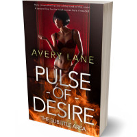 3D view of Paco #17519 - Premade Erotica Book Cover