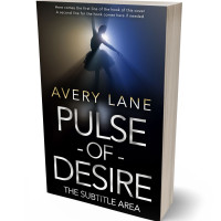 3D view of Premade Literary Fiction Book Cover - Bunker