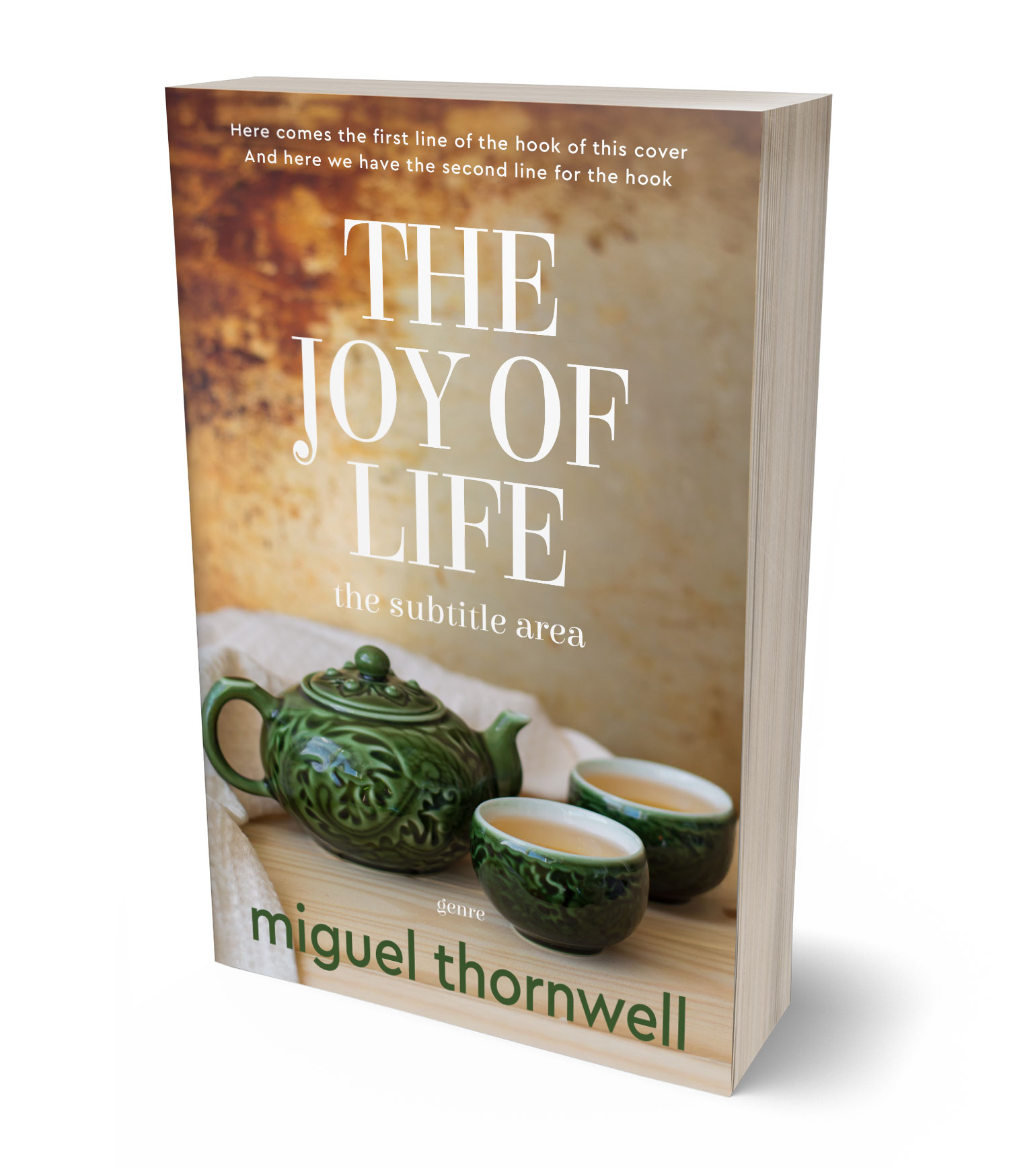 3D view of Premade Self-Improvement & Self-Help Book Cover - Sandal