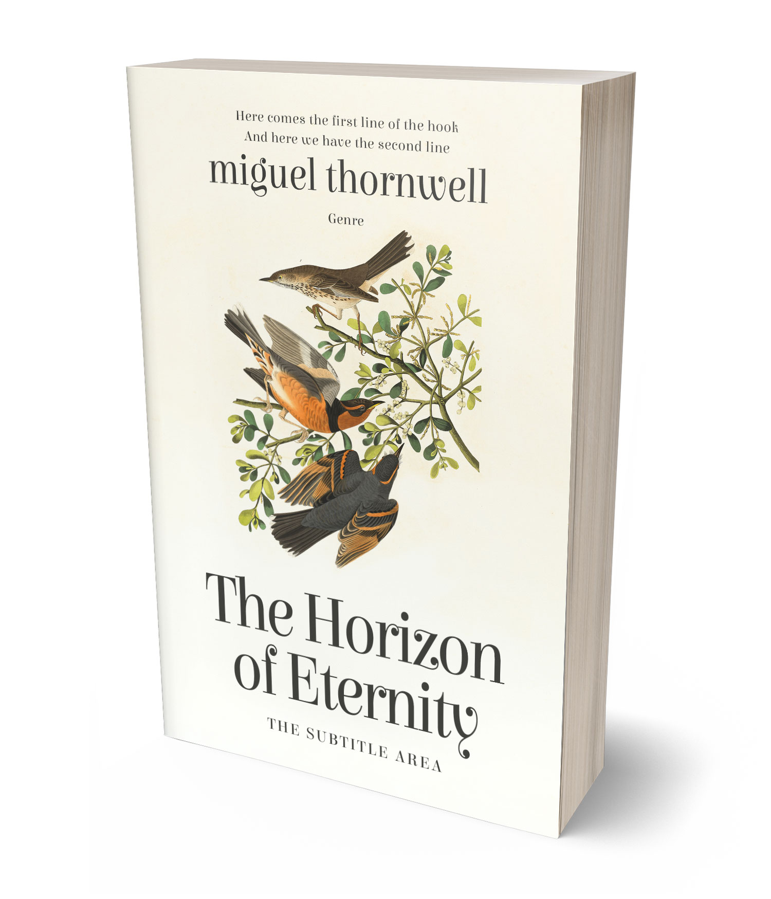 3D view of Premade Literary Fiction Book Cover - Bianca