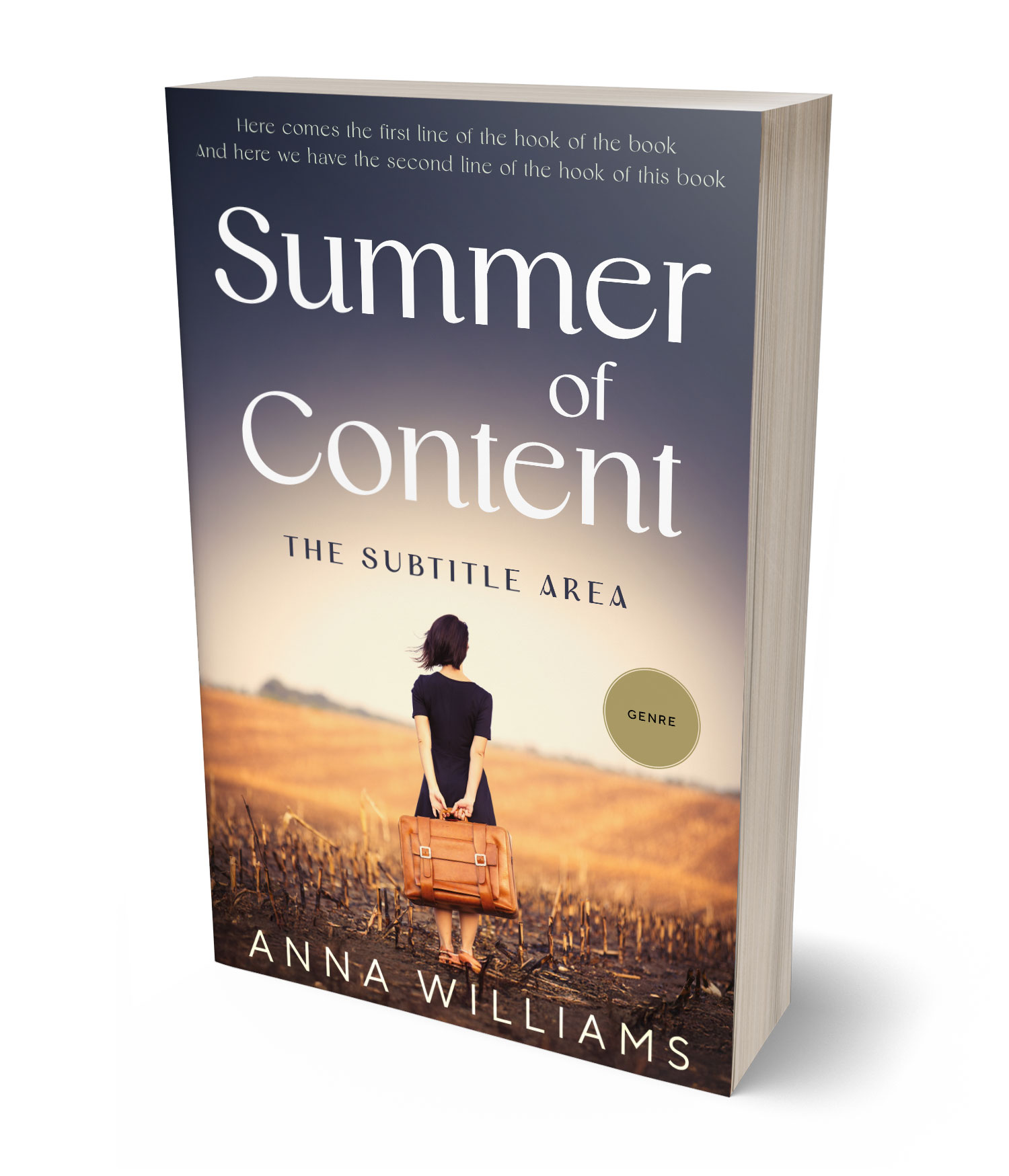 3D view of Custom & Premade Travel Book Cover - Brandy #17816 | BookCoverZone*