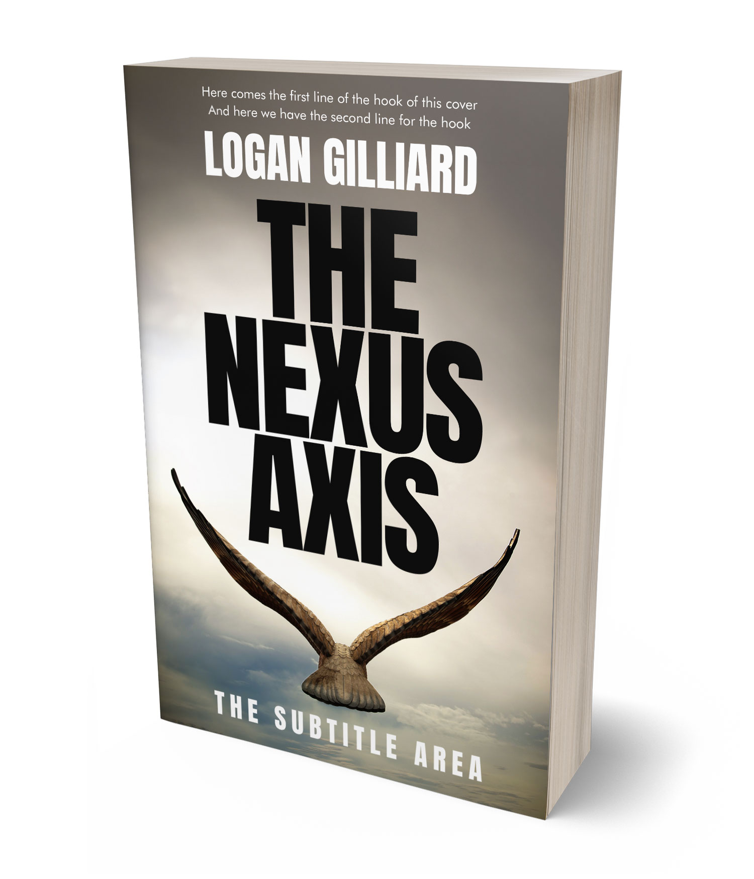 3D view of Premade Mystery & Thriller & Suspense Book Cover - Ash #17970 | BookCoverZone*