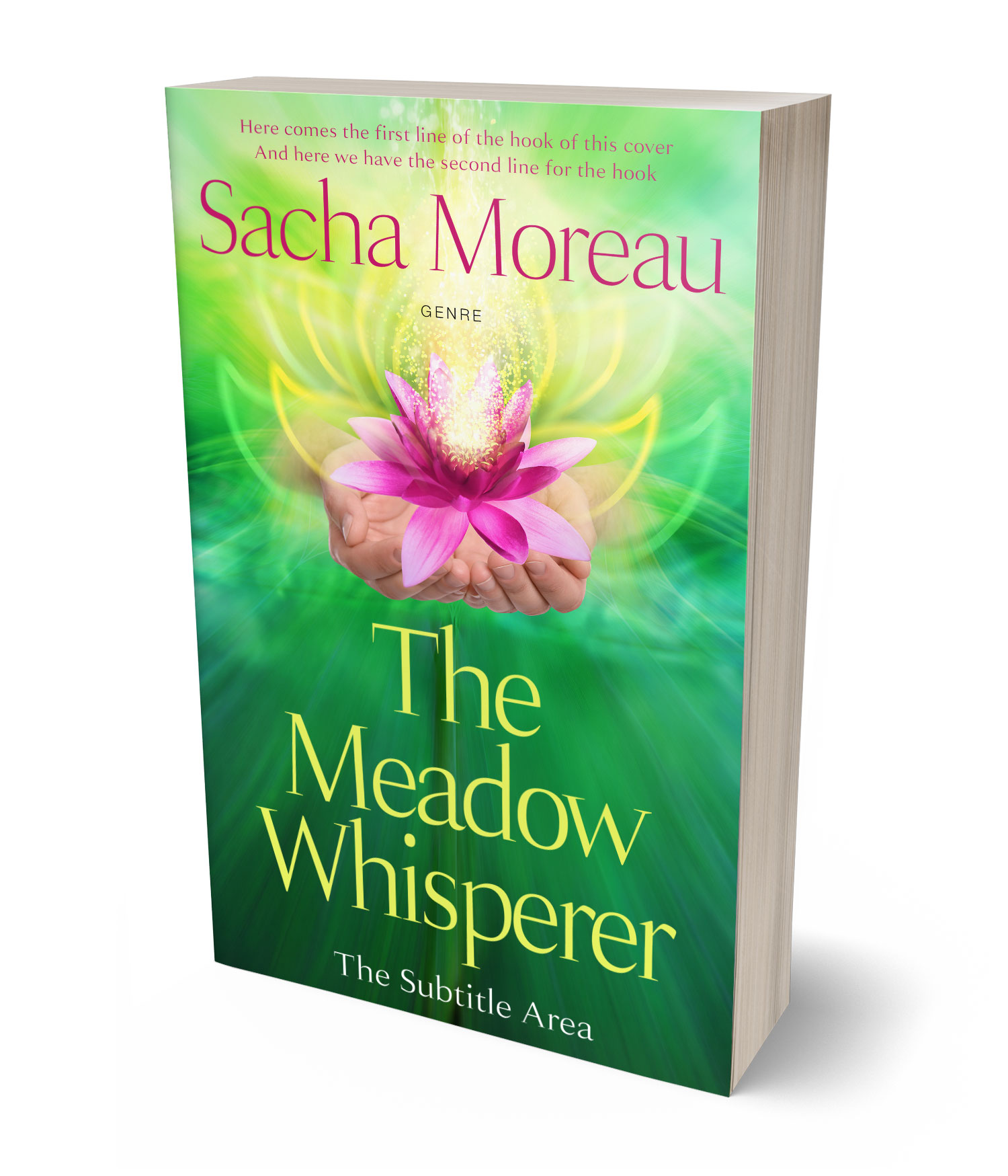 3D view of Premade  Book Cover - Deco #18414 | BookCoverZone