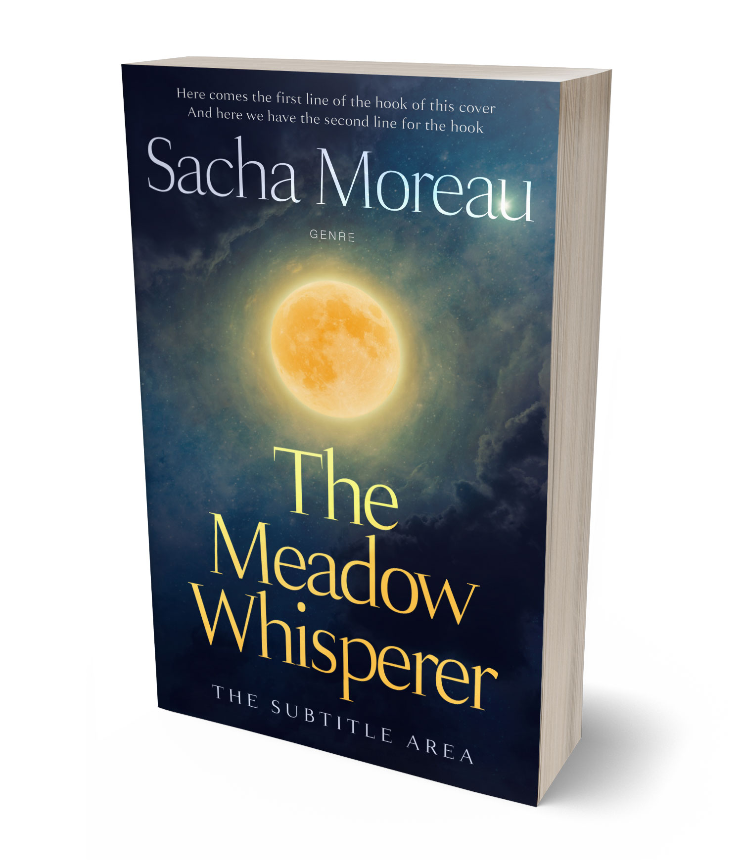 3D view of Premade  Book Cover - Ebony Clay #18416 | BookCoverZone