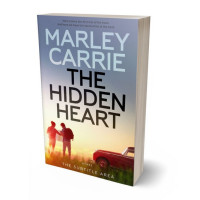 Tablet view of Sisal #20238 - Premade Travel Book Cover | BookCoverZone