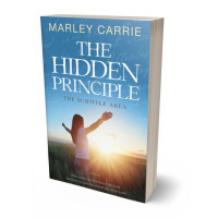 Tablet view of Steel Blue #20315 - Premade Health & Mind & Body Book Cover