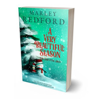 Tablet view of Shamrock #20325 - Premade Teen & Young Adult Book Cover