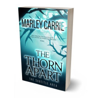 Tablet view of Firefly #20395 - Premade Fantasy Book Cover