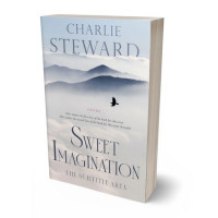 Tablet view of Iron #20897 - Premade Travel Book Cover