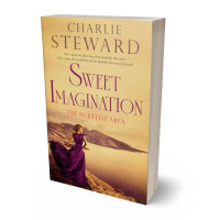 Tablet view of Gold Sand #20902 - Premade Romance Book Cover