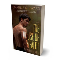 Tablet view of Mikado #20949 - Premade Erotica Book Cover