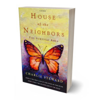 Tablet view of Revolver #21047 - Premade Abstract Book Cover