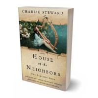 Tablet view of Yuma #21063 - Premade Fantasy Book Cover