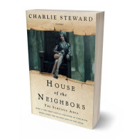 Tablet view of Akaroa #21065 - Premade Fantasy Book Cover