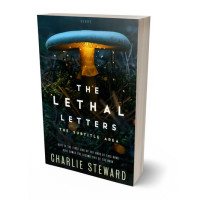 Tablet view of Black #21128 - Premade Fantasy Book Cover | BookCoverZone