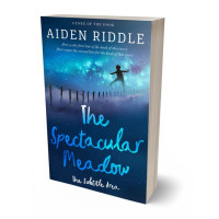 Tablet view of Biscay #21212 - Premade Surreal Book Cover