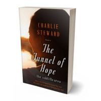 Tablet view of Hampton #21256 - Premade Literary Fiction Book Cover