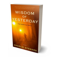 3D view of Red Stage #21310 - Premade Mystery & Thriller & Suspense Book Cover