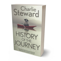 Tablet view of Eagle #21351 - Premade Abstract Book Cover | BookCoverZone