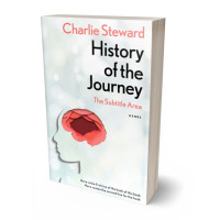 3D view of Black Haze #21358 - Premade Health & Mind & Body Book Cover