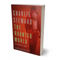 Tablet view of Old Brick #21396 - Premade Apocalyptica Book Cover